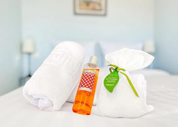 Inn Montfleury - Comfortable Center Cannes