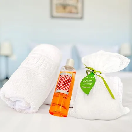 Inn Montfleury - Comfortable Center Cannes